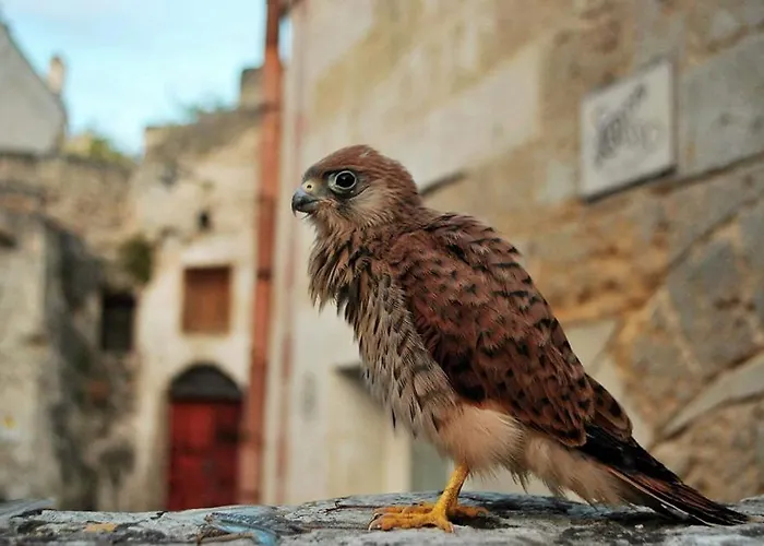 Apartamento S@sso Matto Matera